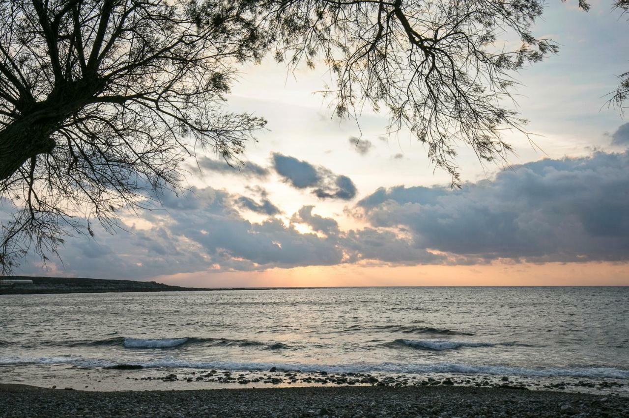 팔라사르나 Sea Side House Rapanas 빌라 외부 사진